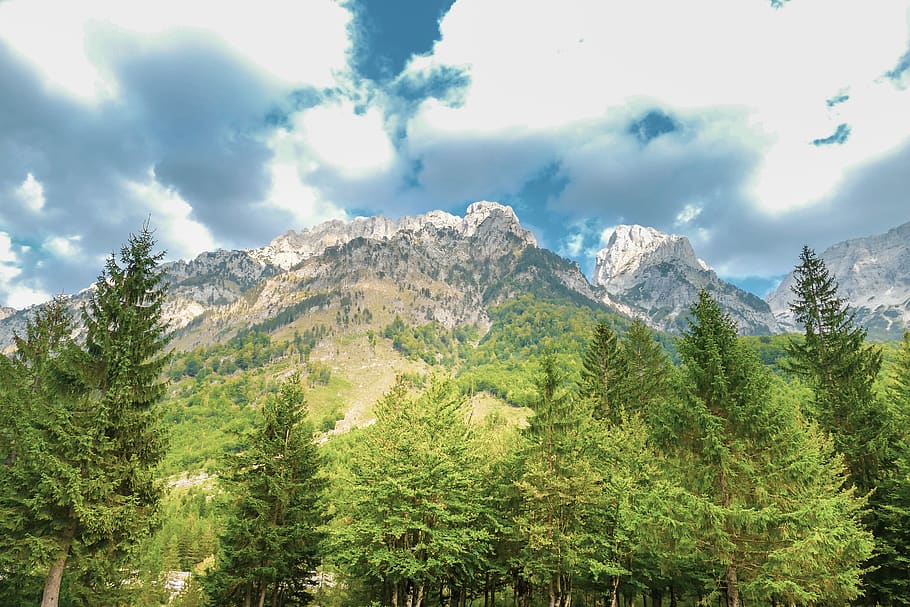 nature, landscape, clouds, mountains, forest, trees, sky, snow HD wallpaper
