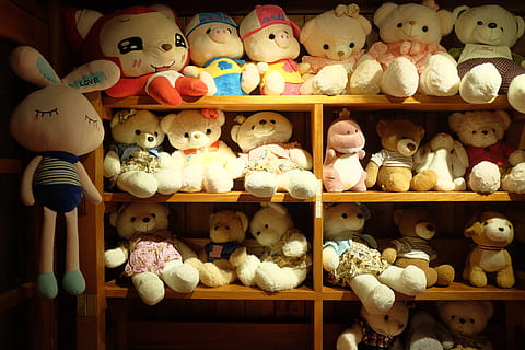 toy, teddy bear, plush, shelf, furniture, doll, closet, cupboard HD wallpaper