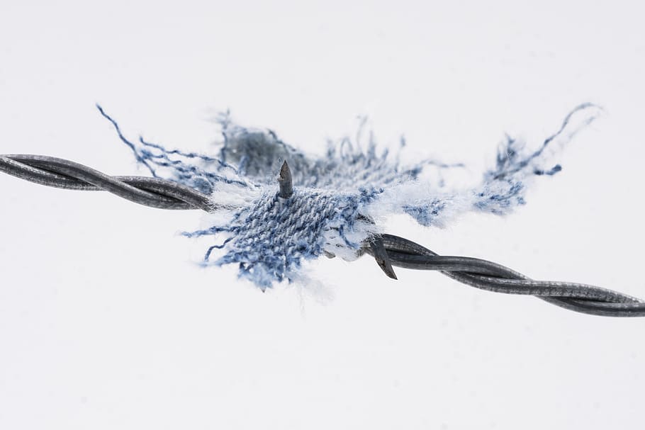barbed wire, fabric, rip, torn, jeans, fence, demarcation, security HD wallpaper