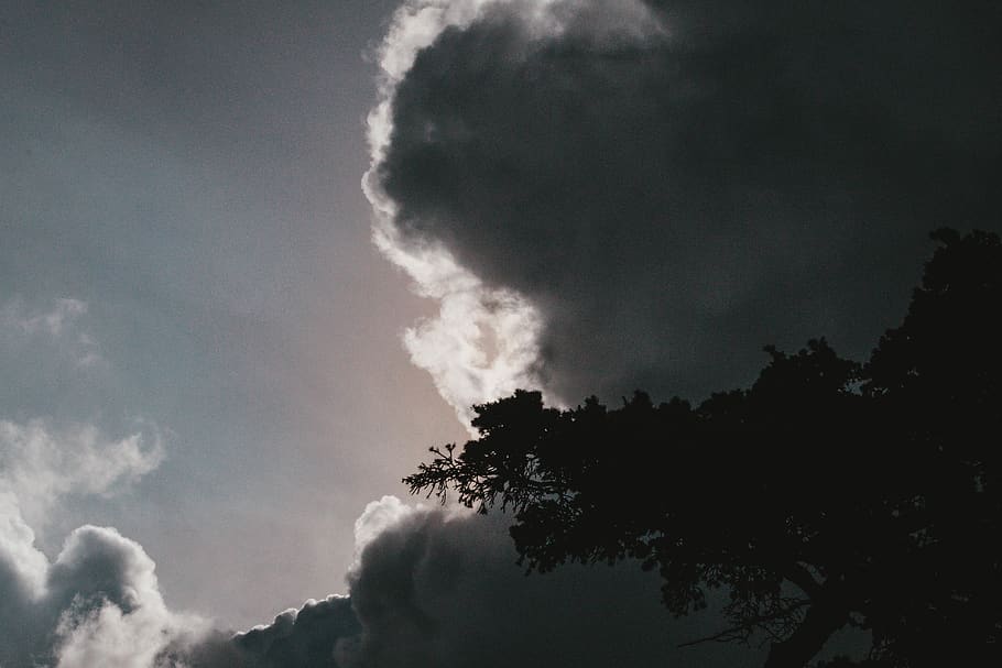 india, ooty, gradient, cloud, sky, sunset, cloud - sky, tree HD wallpaper