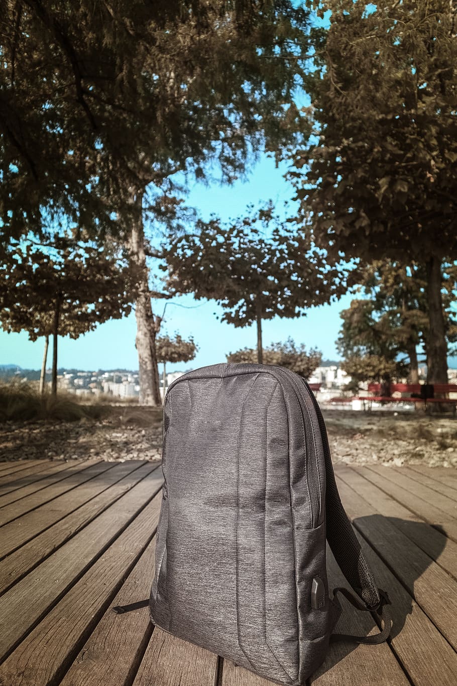 Gray Backpack Outdoor, branches, bright, close-up, colors, daylight HD wallpaper