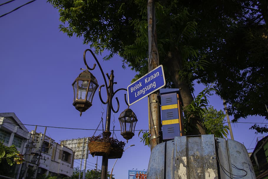 indonesia, jalan tunjungan, communication, text, tree, sign HD wallpaper