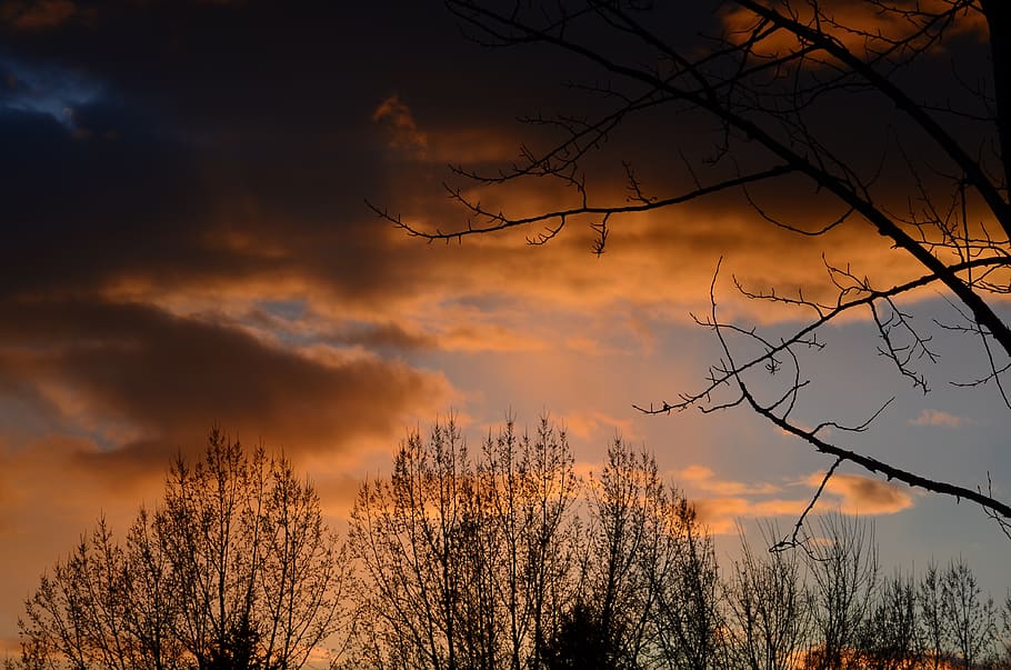 sunset, storm, trees, sky, nature, dusk, clouds, moody, cloud - sky HD wallpaper
