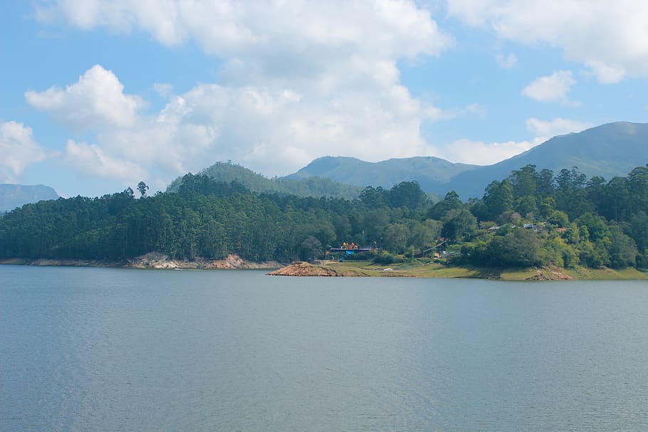 munnar, india, lake, trees, nature and peace, forrest, natural worls HD wallpaper