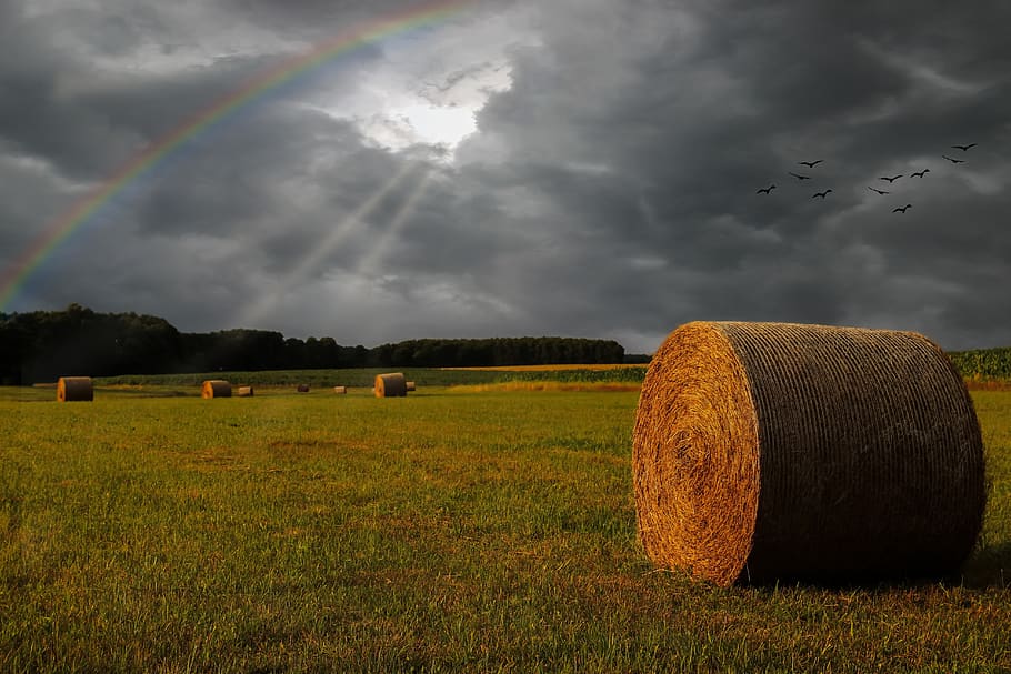field, straw bales, thunderstorm, clouds, dark, sunbeam, agriculture HD wallpaper