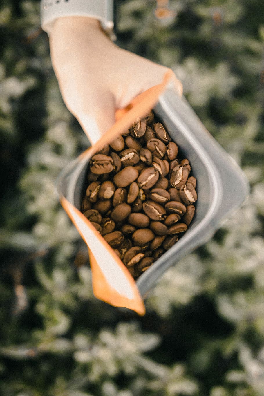 black coffee beans pack, human hand, food and drink, freshness HD wallpaper