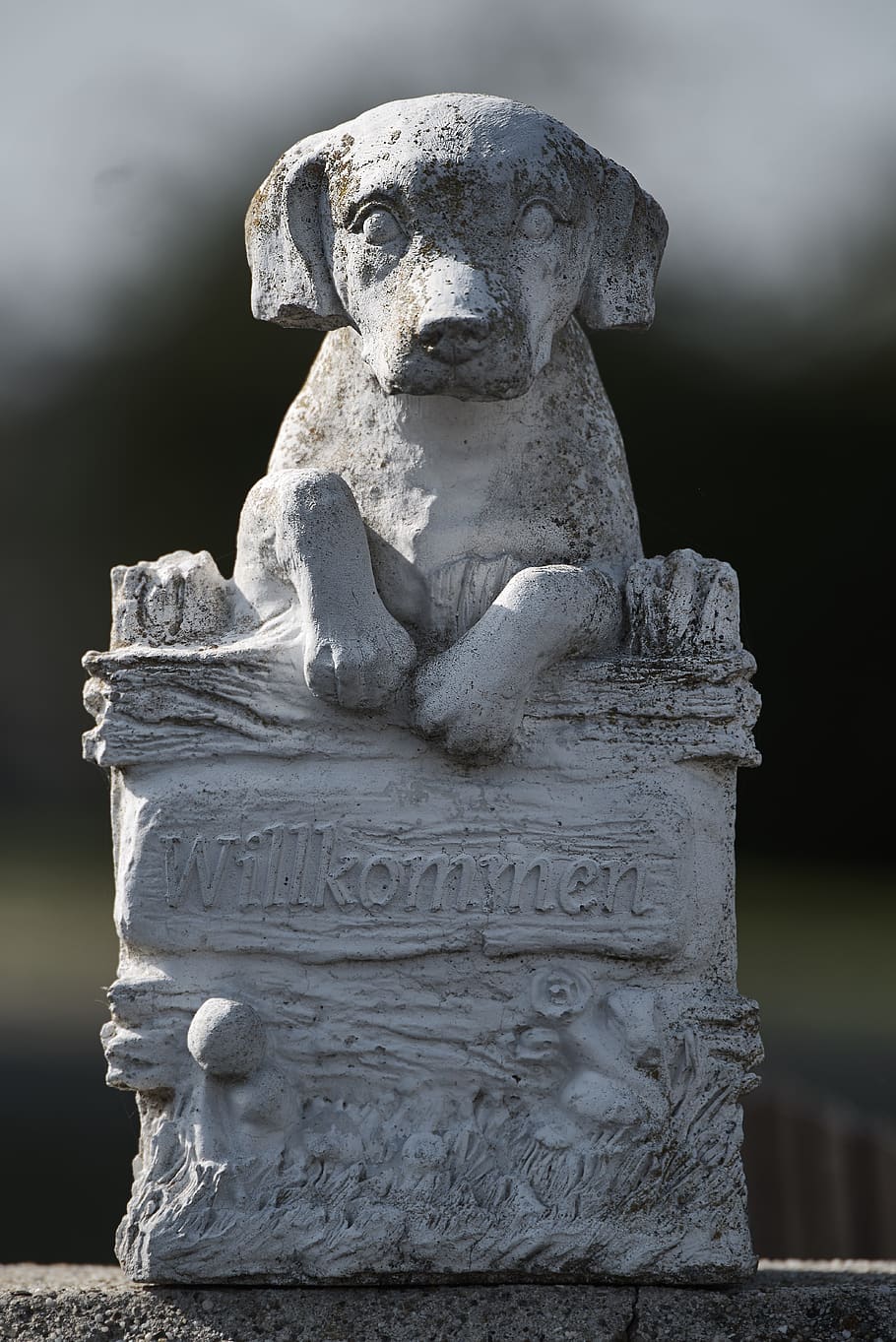 dog, garden, stone figure, sculpture, gartendeko, garden design HD wallpaper