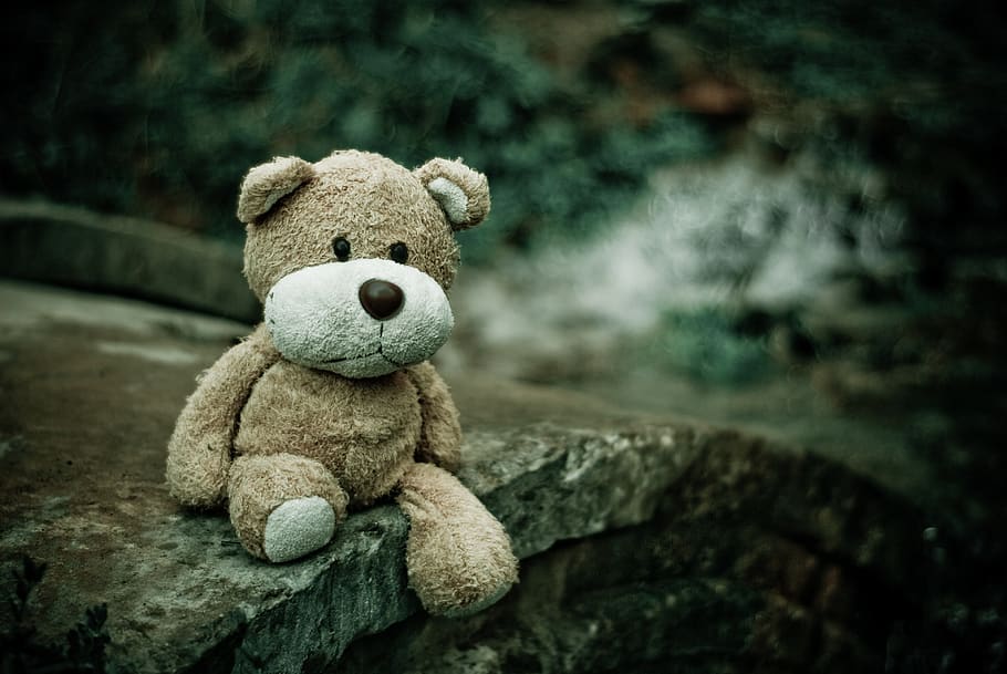 Brown Teddy Bear Sitting on Edge of Pavement, close-up, macro HD wallpaper