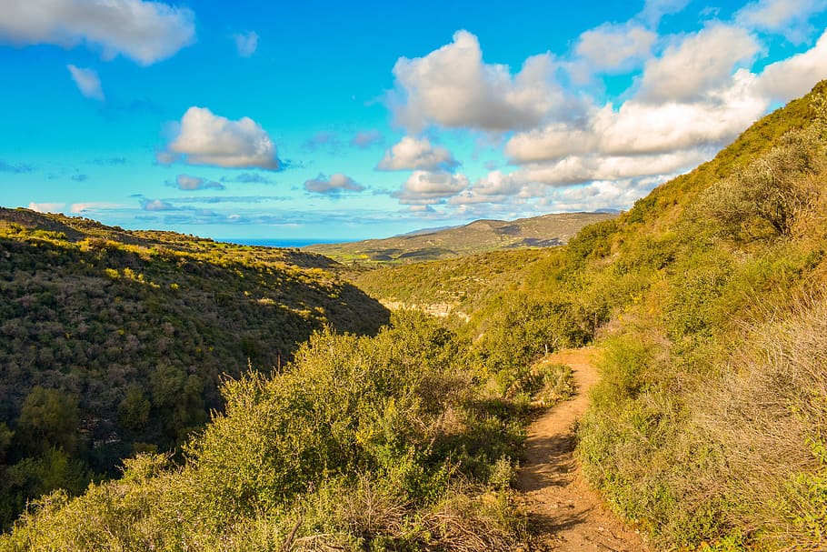 path, nature, mountains, forest, trail, landscape, scenery HD wallpaper