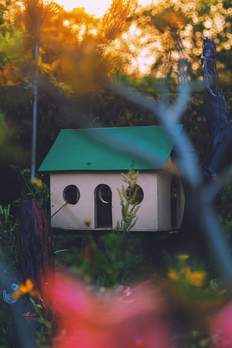 white and green wooden birdhouse, nature, flower, garden, outdoors, HD wallpaper