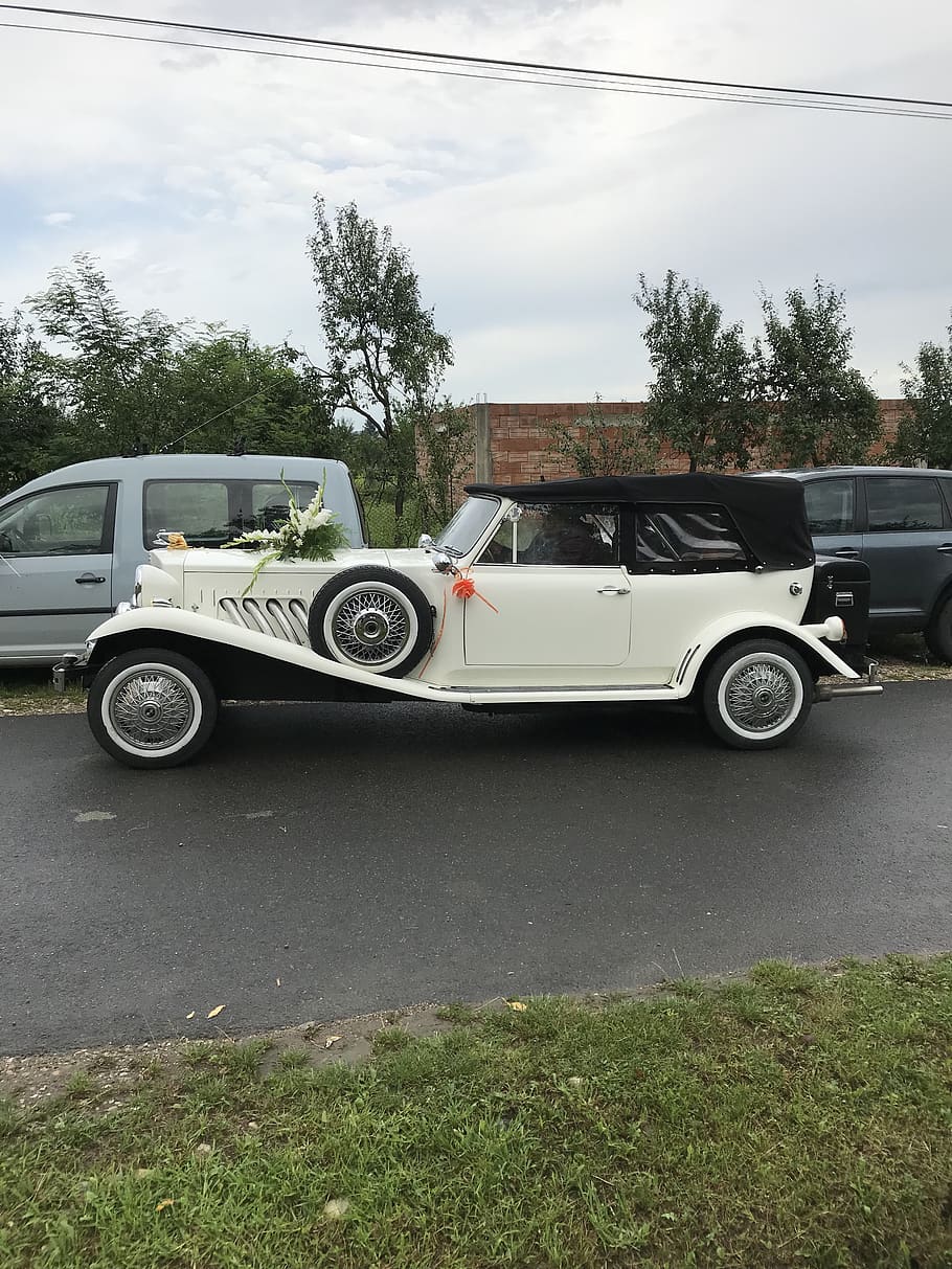 wedding, timisoara, romania, transportation, mode of transportation HD wallpaper