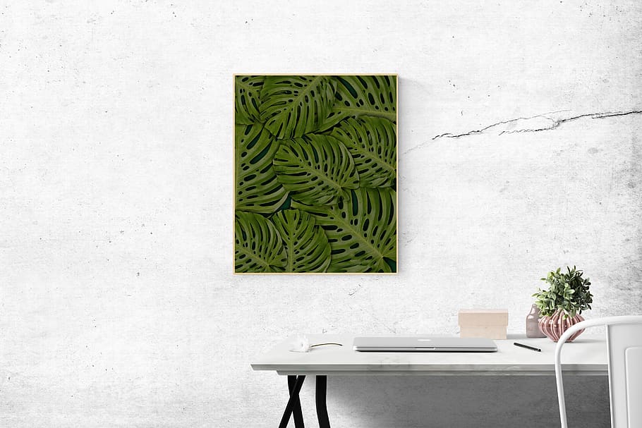 Rectangular Green Swiss-cheese Leafed Plant Photo Mounted on Wall, HD wallpaper