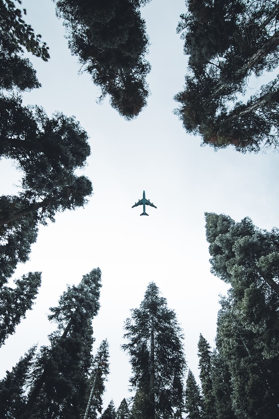 Low Angle Photo of Airplane, aeroplane, aircraft, aviate, aviation HD wallpaper