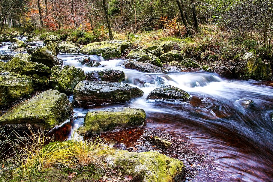 water, flow, nature, stream, river, jungle, wild, forest, rainforest HD wallpaper