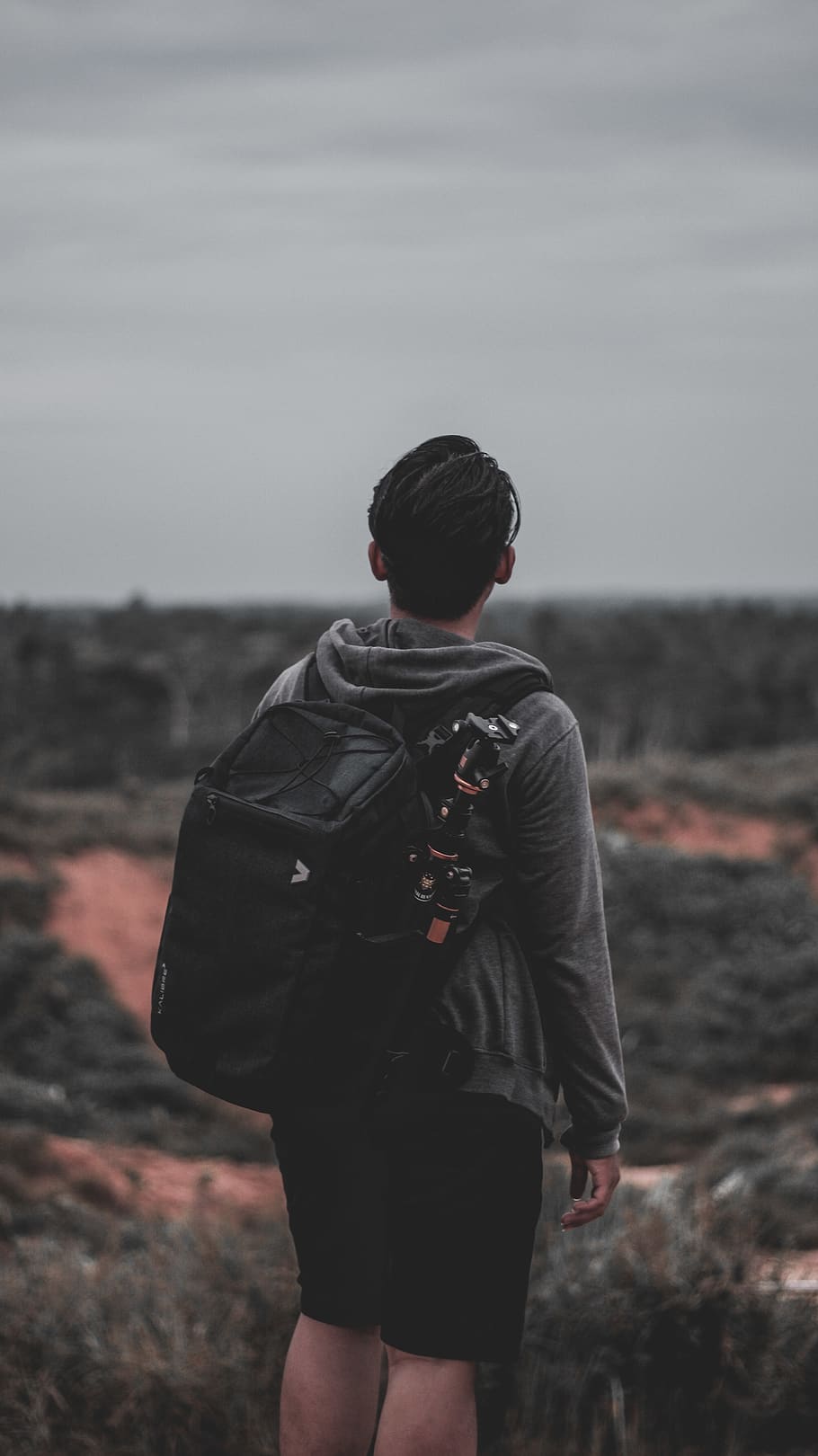 Photo of a Man Wearing Black Backpack, adult, back view, backpacker HD wallpaper