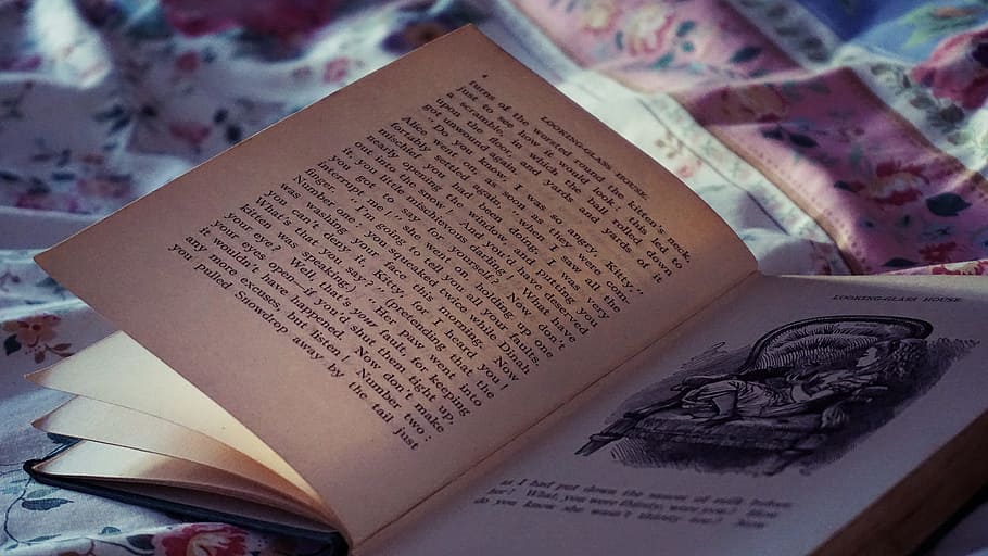 Opened White Book, bed, book bindings, close-up, document, old book HD wallpaper