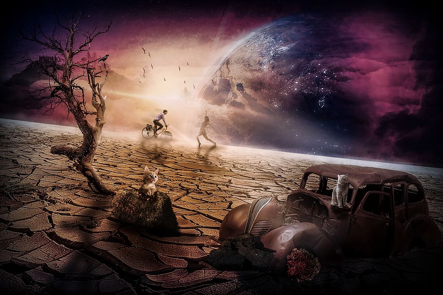 planet, cat, space, mystical, fantasy, galaxy, composing, surreal HD wallpaper