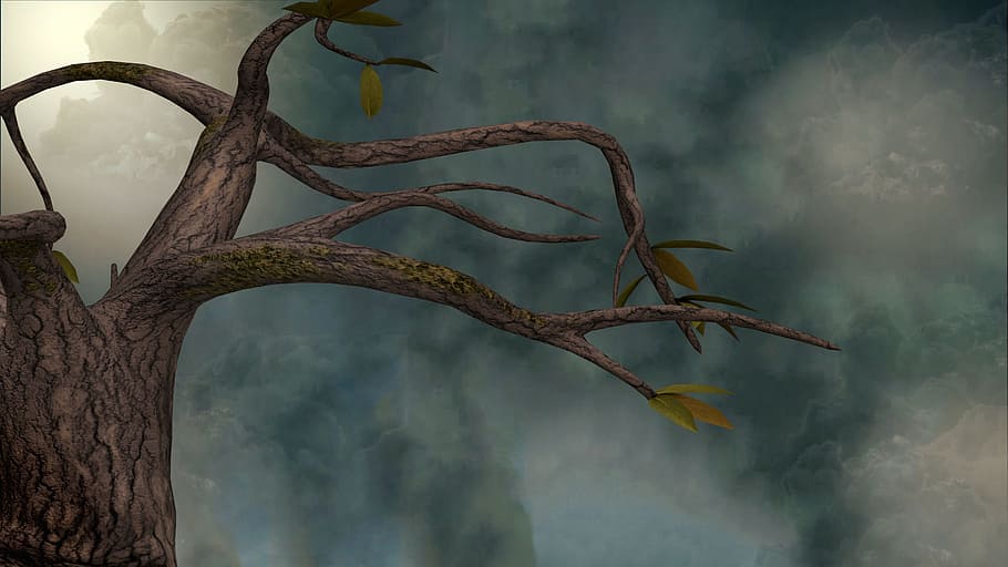 tree, branches, 3drender, scene, clouds, plant, nature, no people HD wallpaper