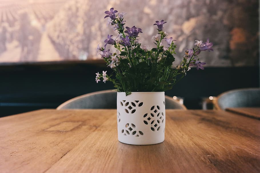 Purple Petaled Flowers on White Jar on Table, blur, close-up HD wallpaper