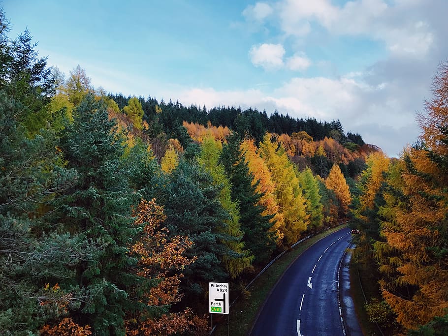pitlochry, united kingdom, forest, trees, highway, scotland, HD wallpaper