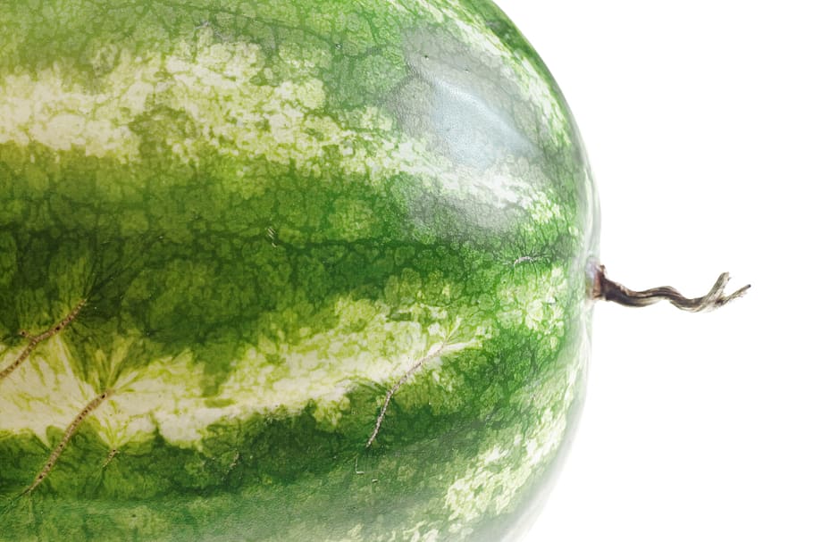 close-up, closeup, diet, dieting, eating, food, fresh, freshness HD wallpaper