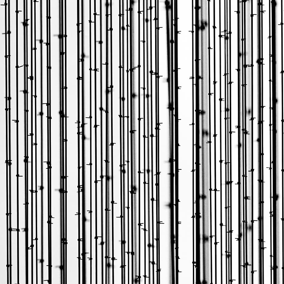 bamboo wallpaper, backgrounds, full frame, no people, pattern HD wallpaper