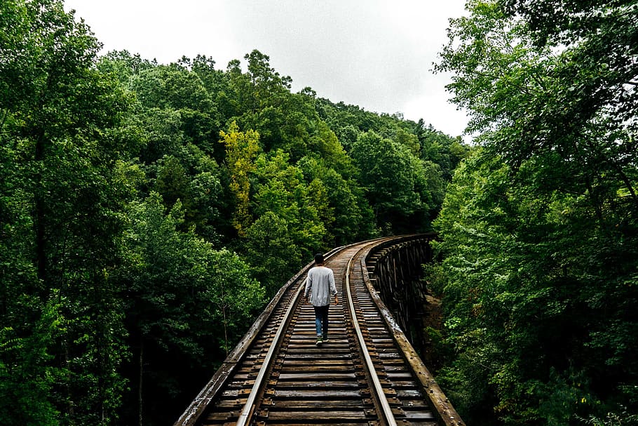 hope, lost, run, walk, hike, man, green, nature, architecture HD wallpaper
