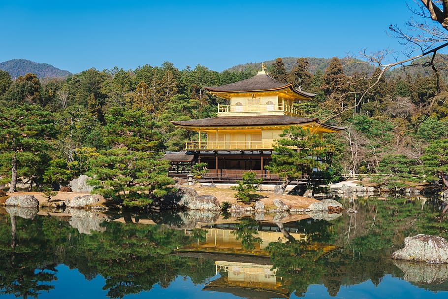 japan, kyoto, kinkakujicho, golden, japanese, trees, lake, reflection, HD wallpaper