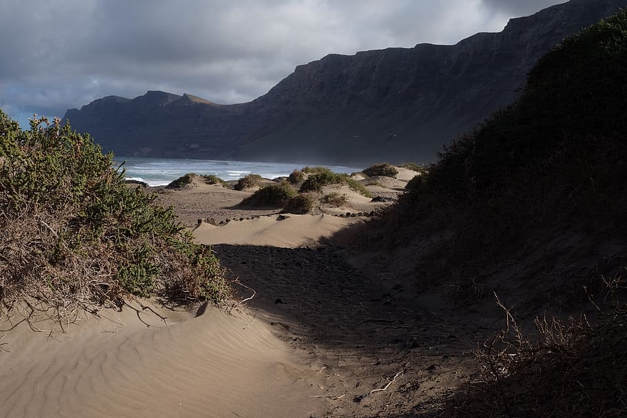 Sand and Green Grass Near Body of Water, beach, cliff, coast HD wallpaper