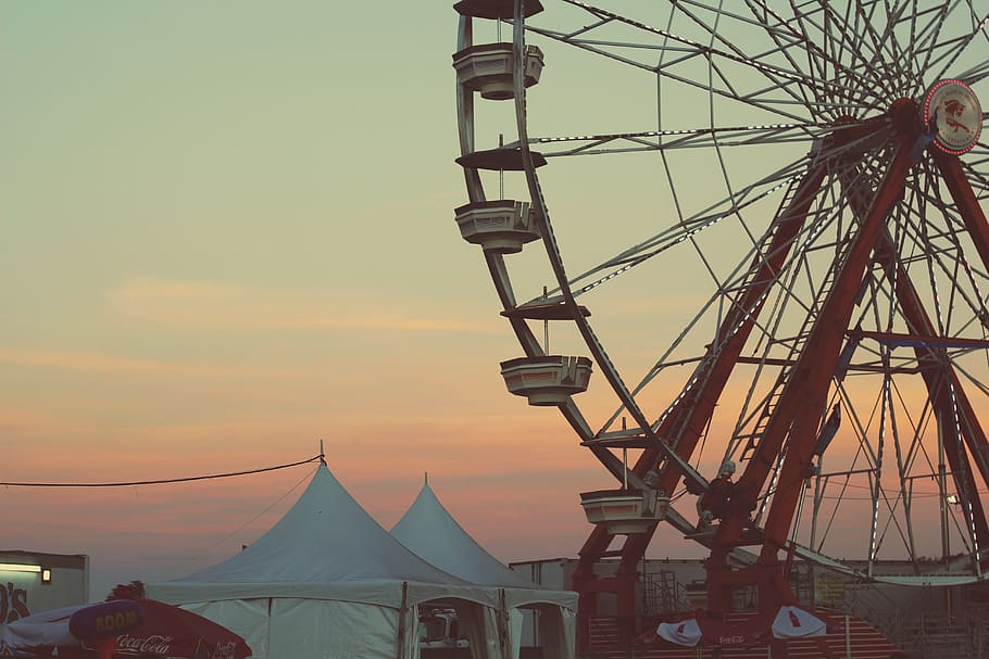 ferris, wheel, miami, ride, fair, romance, sunset, sunrise