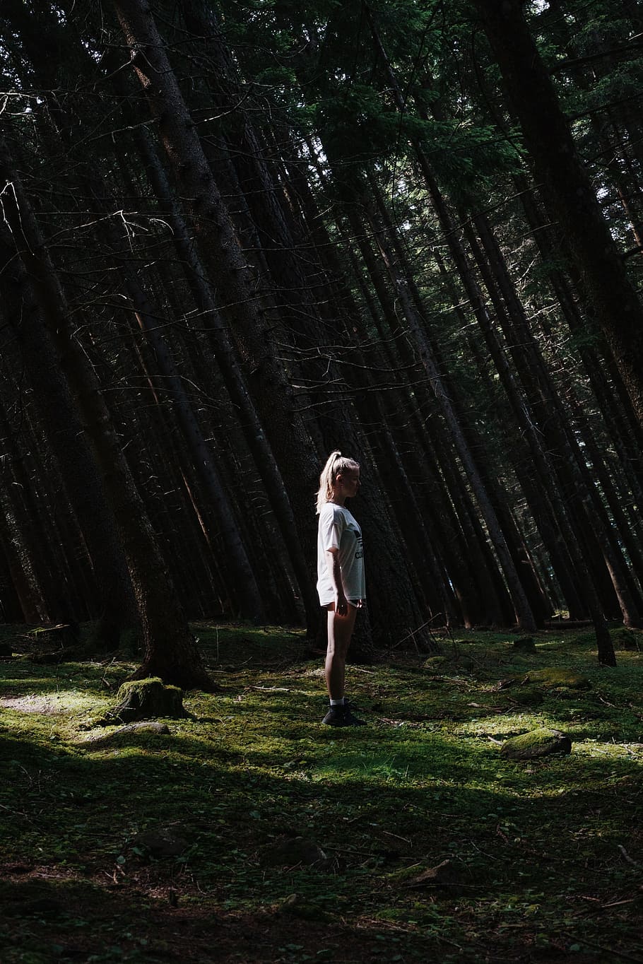woman standing on forest, tree, brown, green, dolomite, italy HD wallpaper