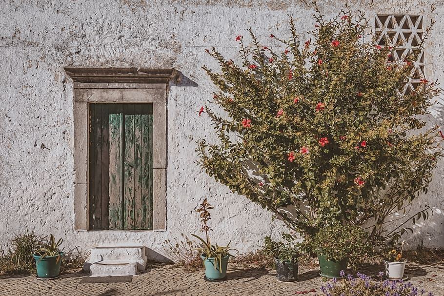 house, old, facade, front, architecture, building, rustic, historically HD wallpaper
