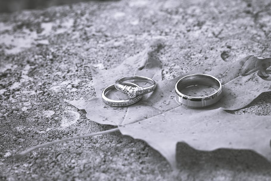 canada, québec city, white, leaf, wedding, rings, black, wedding ring HD wallpaper