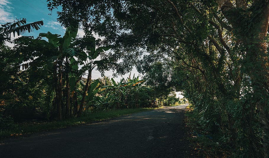 Empty Road Pavement Photography, daylight, environment, grass HD wallpaper