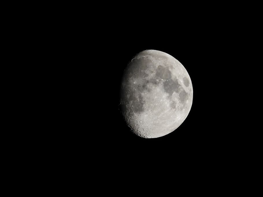 moon, night, sky, space, astronomy, atmosphere, in the evening HD wallpaper