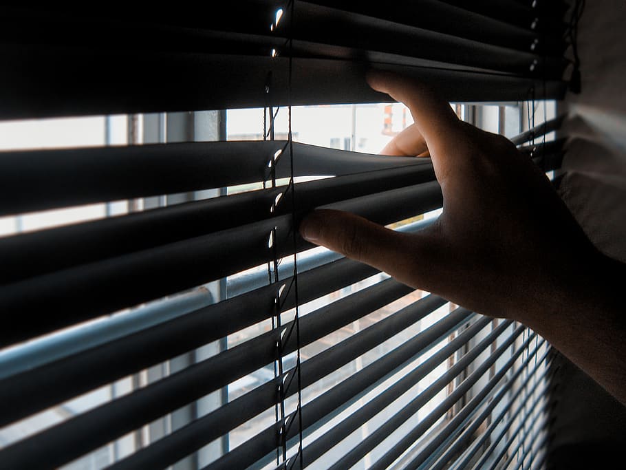 blind, shutter, persiana, window, hand, sillouette, human body part HD wallpaper