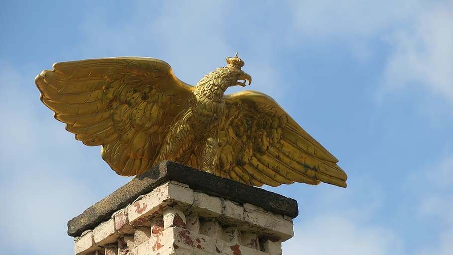 adler, statue, monument, gold, branitz, castle, sculpture, sky HD wallpaper