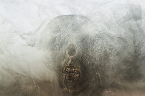 grey, skull, dry head, skeleton, dead, death, bone, dark, bones HD wallpaper