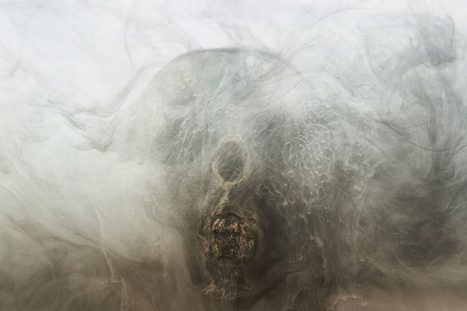 grey, skull, dry head, skeleton, dead, death, bone, dark, bones HD wallpaper