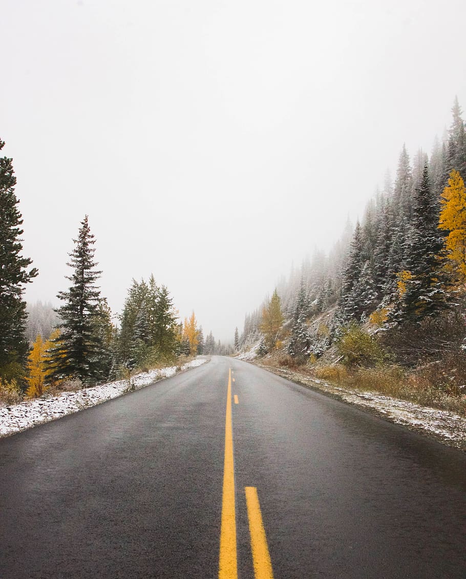 trees, lake, forest, canada, banff, road, winter, snow, wild HD wallpaper
