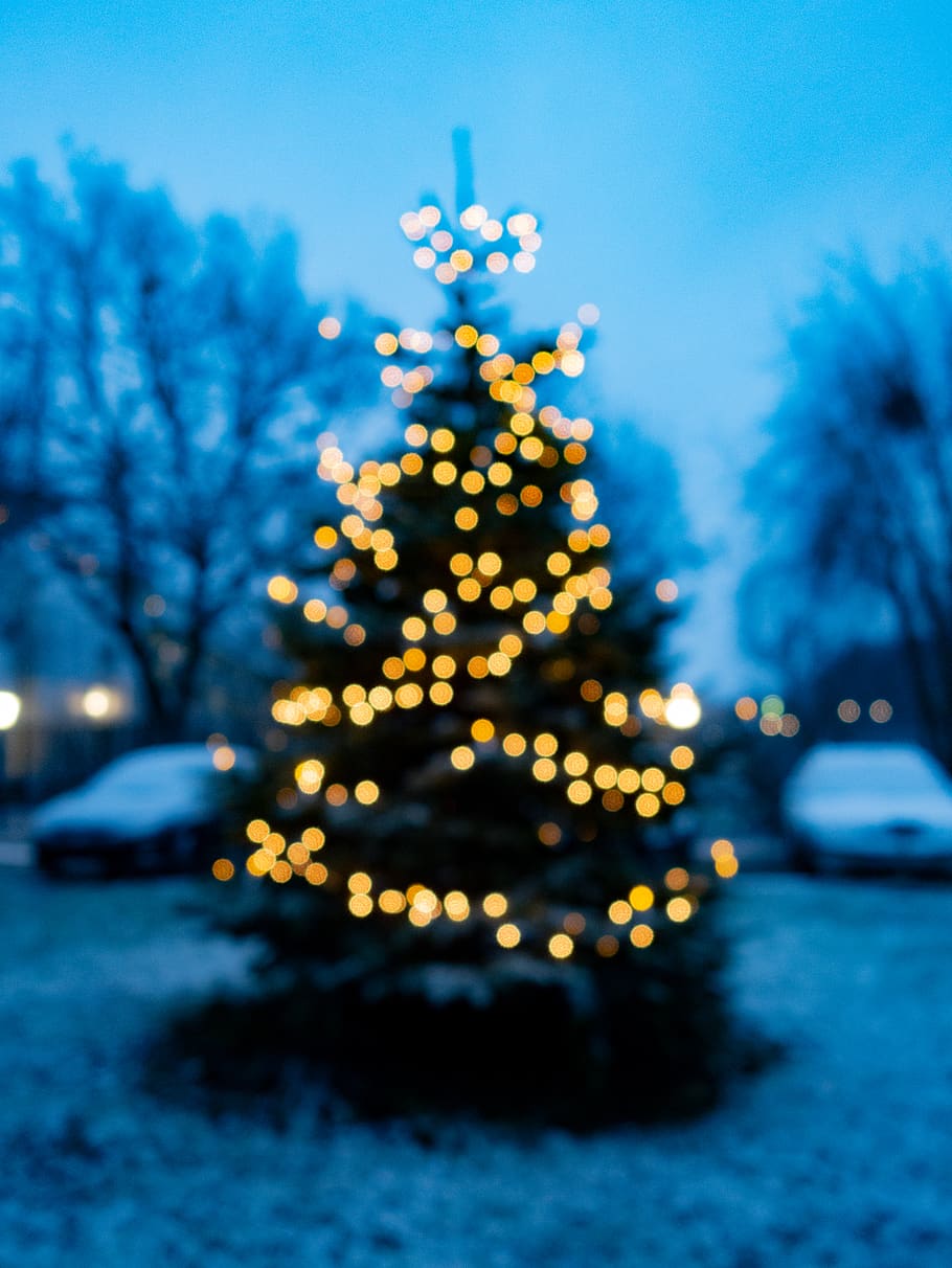 Christmas tree, blurred, yellow, blue, light, new year, celebration, HD wallpaper
