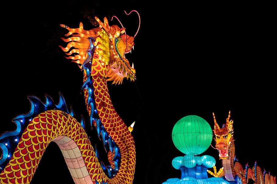 orange and blue lighted dragon statue, night, illuminated, architecture HD wallpaper