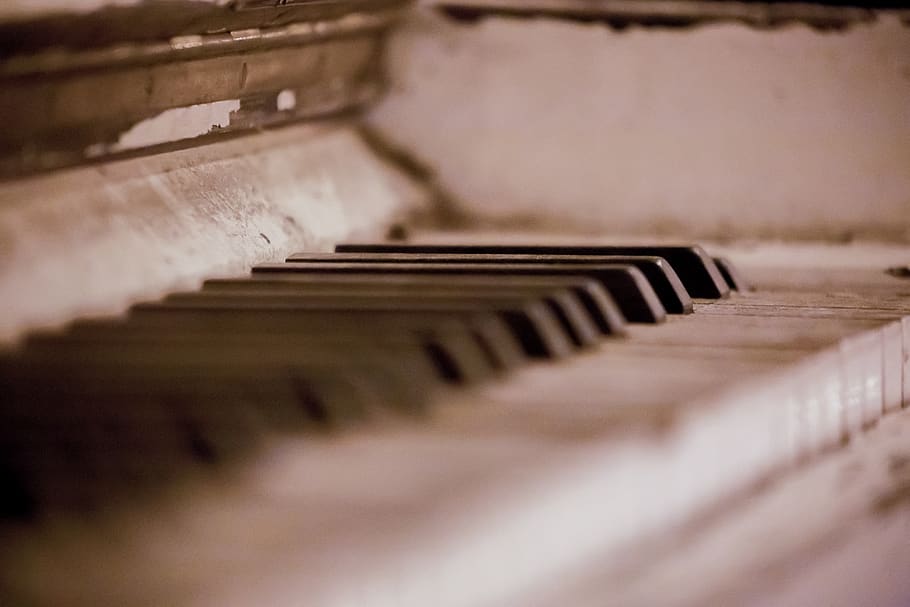 close-up photography of piano, musical instrument, leisure activities