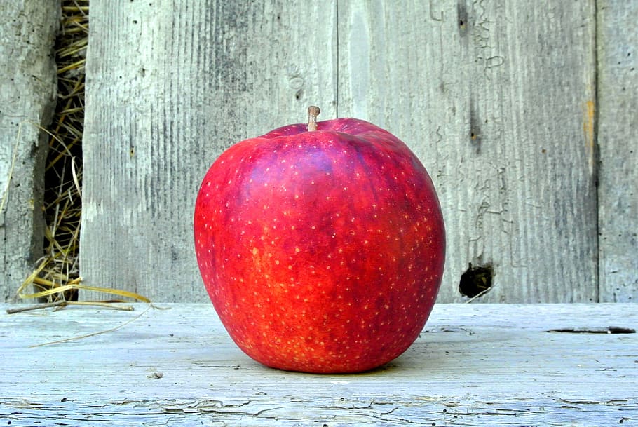 apple, red, ripe, fresh, healthy, bio, nature, food, healthy eating HD wallpaper