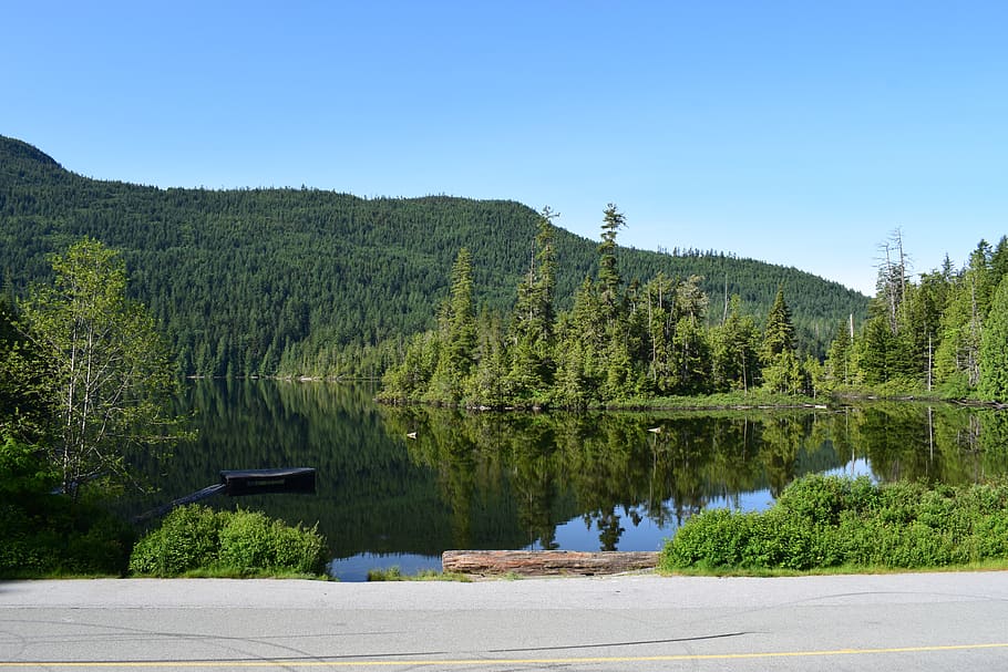 lake, canada, calm, tree, plant, tranquil scene, water, beauty in nature HD wallpaper