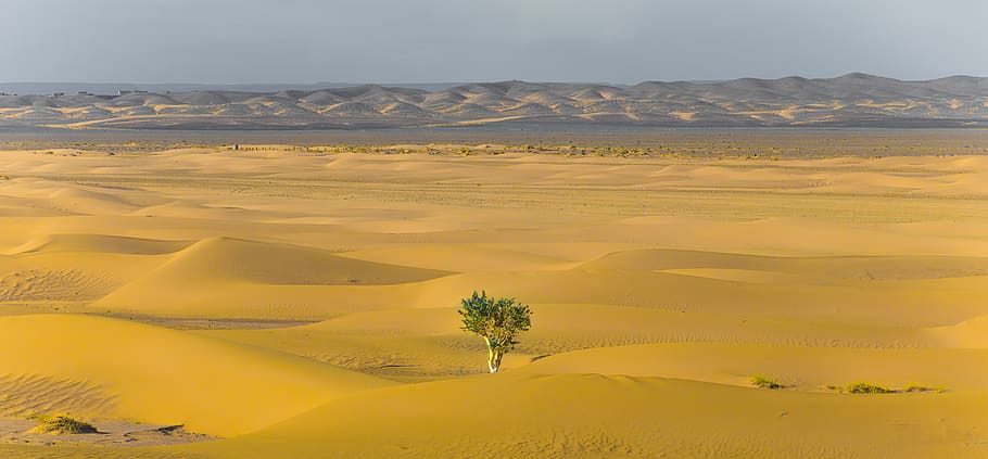 dessert, landscape, environment, desert, nature, sand dune, scenics - nature HD wallpaper