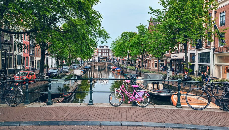 netherlands, amsterdam, transportation, mode of transportation HD wallpaper