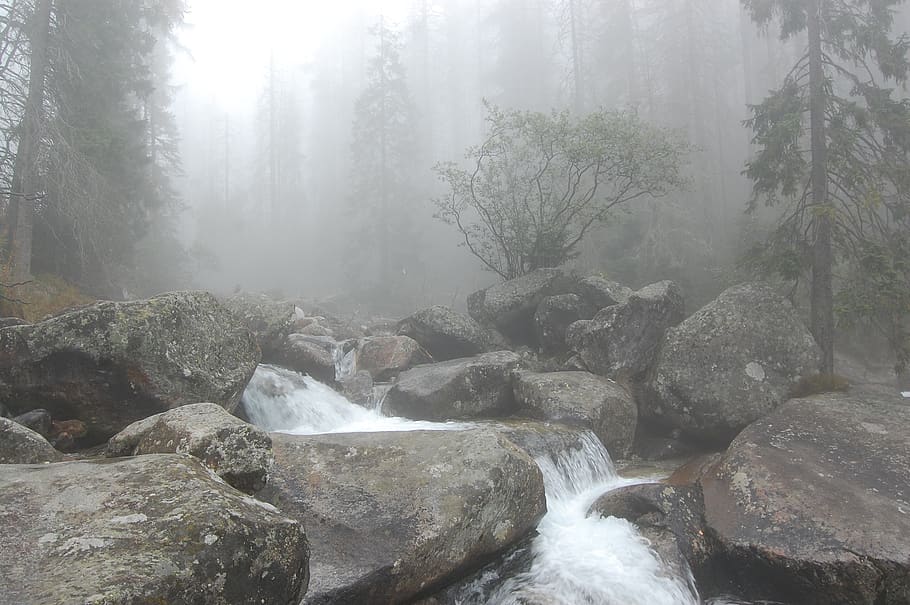 HD Wallpaper: The Fog, Torrent, Mountain, The Stones, Wet.