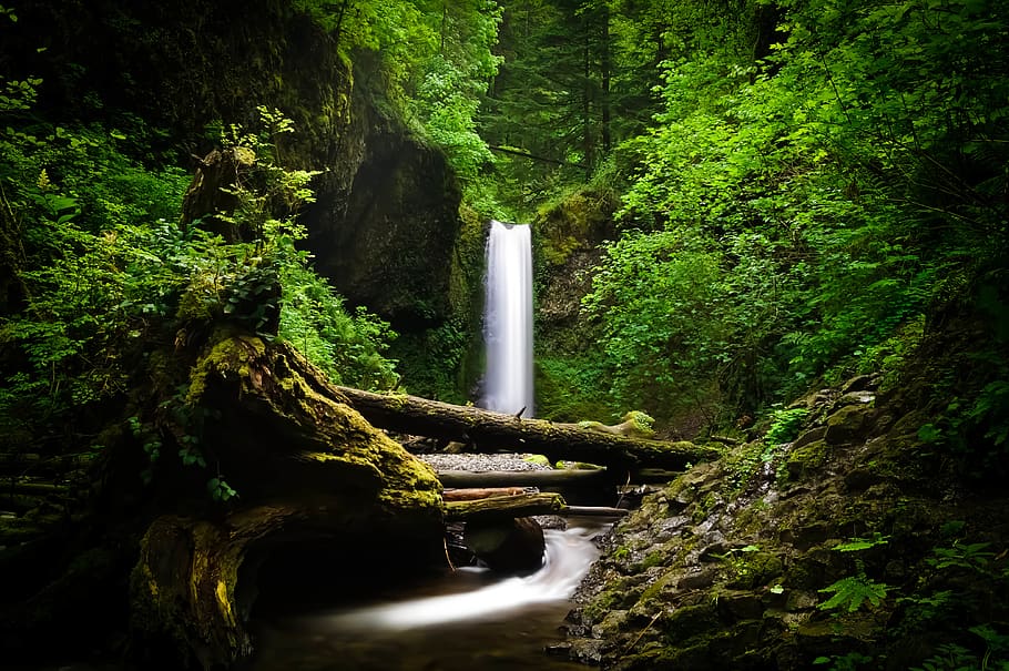 united states, multnomah county, majestic, nature, outdoors, HD wallpaper