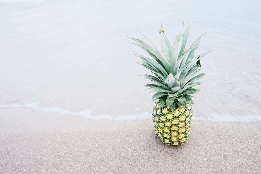 Pineapple Fruit on Shore, beach, food, sand, tropical fruit, healthy eating HD wallpaper
